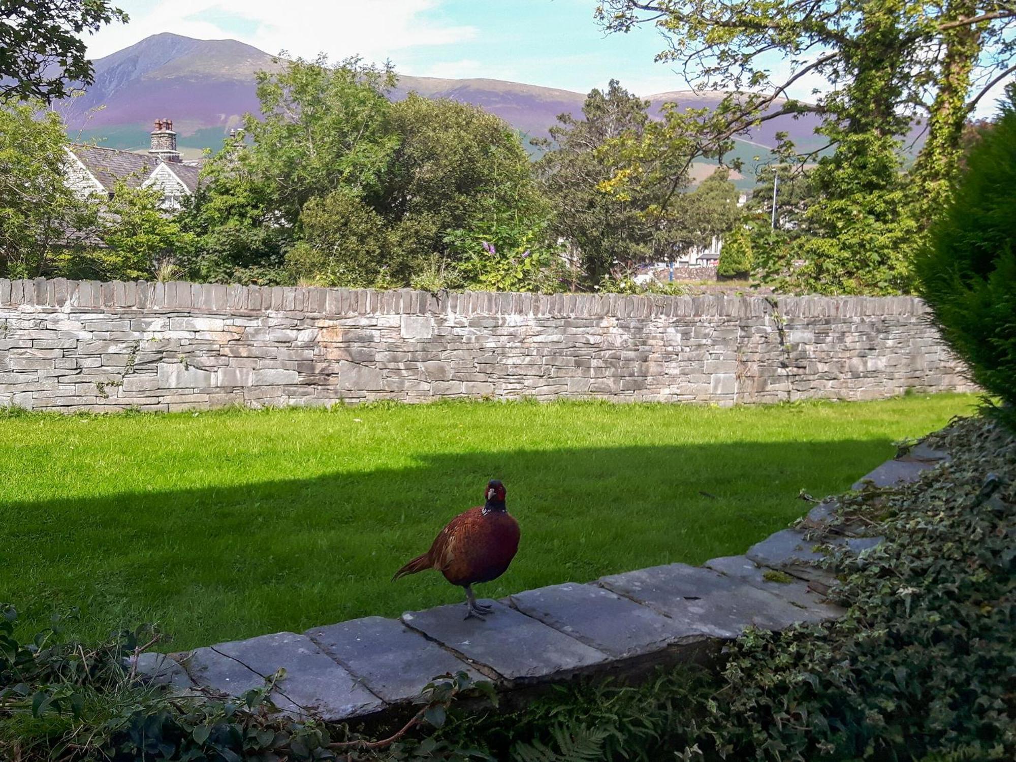 Villa 2 Greta Grove House Keswick  Esterno foto